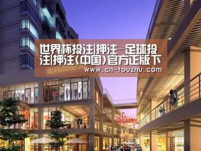 案例展示一