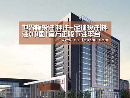 案例展示七
