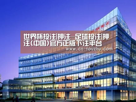 案例展示五